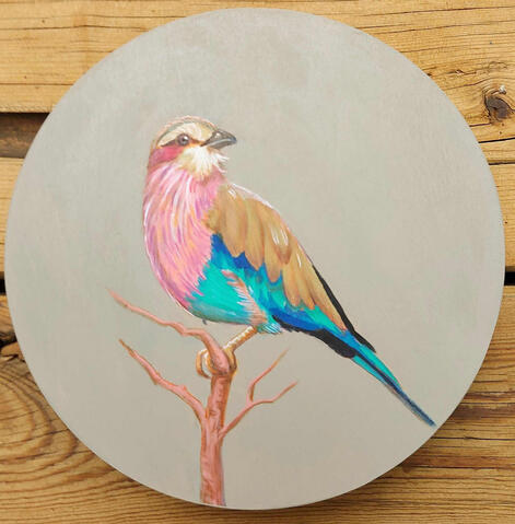 Lilac Breasted Roller